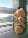 Side view of cute teddy bear is sitting on the windowsill, looking out of the window Royalty Free Stock Photo
