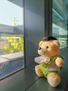 Side view of cute teddy bear is sitting on the windowsill Royalty Free Stock Photo