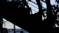 Side view of dark stairs hidden in the shadow with walking people. HDR. Silhouette of stairs decorated by plants in Royalty Free Stock Photo