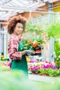 Side view of a dedicated florist holding a tray with decorative potted flowers