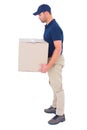 Side view of delivery man carrying cardboard box Royalty Free Stock Photo