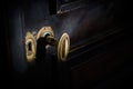 Detail of antique golden door handle knob Royalty Free Stock Photo