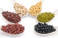 Side view different beans Royalty Free Stock Photo
