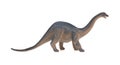 Side view Diplodocus toy on white background Royalty Free Stock Photo