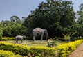 Side view of Elephants family cement sculptures