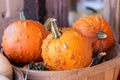 Side View of Farmers Market Basket full of orange bumpy pumpkins