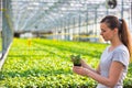 Side view of female botanist examining seedling in plant nursery