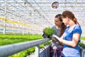 Side view of female botanists examining herb seedlings in plant nursery Royalty Free Stock Photo