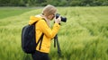 Photographer taking pictures, grain field Royalty Free Stock Photo