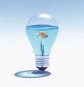 Side view of fish swimming against clear light bulb Royalty Free Stock Photo