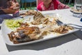 Side view of fishbone of finished donkey or borriquete fish in tray