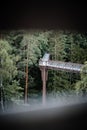 Side view of a footbridge through tall lush pine trees in the forest