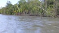 The side of view of forest and river water. Panning of jungles, Sundarban Mangrove, and waves in the river.