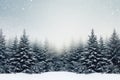 Side view of the forest at winter. Winter spruce forest in the fog. The trees are covered with snow. Beautiful nature. Royalty Free Stock Photo