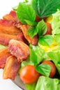 Side view of a fragment of a plate close-up of fried bacon