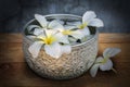 Side view of frangipani flowers floating on water in vintage silver bowl Royalty Free Stock Photo