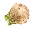 side view of fresh celeriac (celery root) isolated