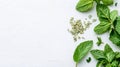 Fresh mint leaves and dried spearmint on white surface with copy space for your message Royalty Free Stock Photo