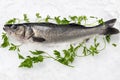 Side view of fresh sea bass on crushed ice with parsley Royalty Free Stock Photo