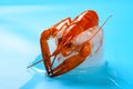 frozen shrimp in an unfreezing process Royalty Free Stock Photo