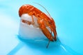 frozen shrimp in an unfreezing process Royalty Free Stock Photo