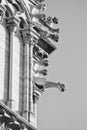 Gargoyles on Notre Dame de Paris Royalty Free Stock Photo