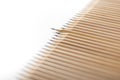 Side view half-blurred image of an row of natural wood pencils Royalty Free Stock Photo