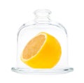 Side view of half of lemon in Glass Lemon Keeper