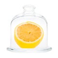 Side view of halved lemon in Glass Lemon Keepe