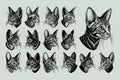 Side view hand drawn abyssinian cat head tshirt design set Royalty Free Stock Photo