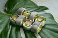 Healthy Japanese no rice sushi roll with raw fish fillet wrapped in daikon radish on monstera leaf, stone background Royalty Free Stock Photo