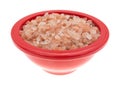 Side view of Himalayan pink salt in a small bowl.