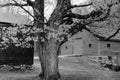 The side view of the historic Hartwell Tavern Royalty Free Stock Photo