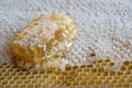 side view honeycomb with honey