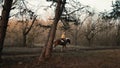 Side view of horsewoman galloping during horseride in the wood slow motion