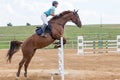 Side view of horsewoman during the high jump