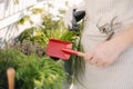 Side view of human hand hold red shovel. Using garden tools for landing