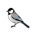 Elegant cartoon great tit bird illustration on white backdrop Royalty Free Stock Photo