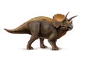 Side view Illustration of a Triceratops