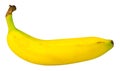 Isolated Organic Banana