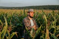 Side view looking away handsome young farmer standing in cornfield with arms crossed, at sunset.