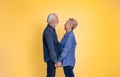 Side view of loving senior man and woman holding hands and romantically looking at each other while standing isolated on yellow Royalty Free Stock Photo