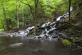 Side View Of Lower Falls Royalty Free Stock Photo