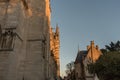 Side view of the Notre Dame cathedral in Paris Royalty Free Stock Photo