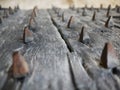 Side view of an old ancient medieval wooden door, close up selective focus at metal rusty iron spiked, concept image for Royalty Free Stock Photo