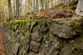 Side view of an old irregular stone retaining wall, in autumn, Monte Amiata, Tuscany, Italy