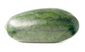Side view of one ripe green watermelon fruit isolated on white background with clipping path Royalty Free Stock Photo