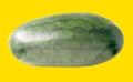 Side view of one ripe green watermelon fruit isolated on yellow background with clipping path Royalty Free Stock Photo