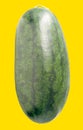 Side view of one ripe green watermelon fruit isolated on yellow background with clipping path Royalty Free Stock Photo