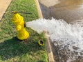 Side view opened yellow fire hydrant gushing water across a residential street near Dallas, Texas, USA